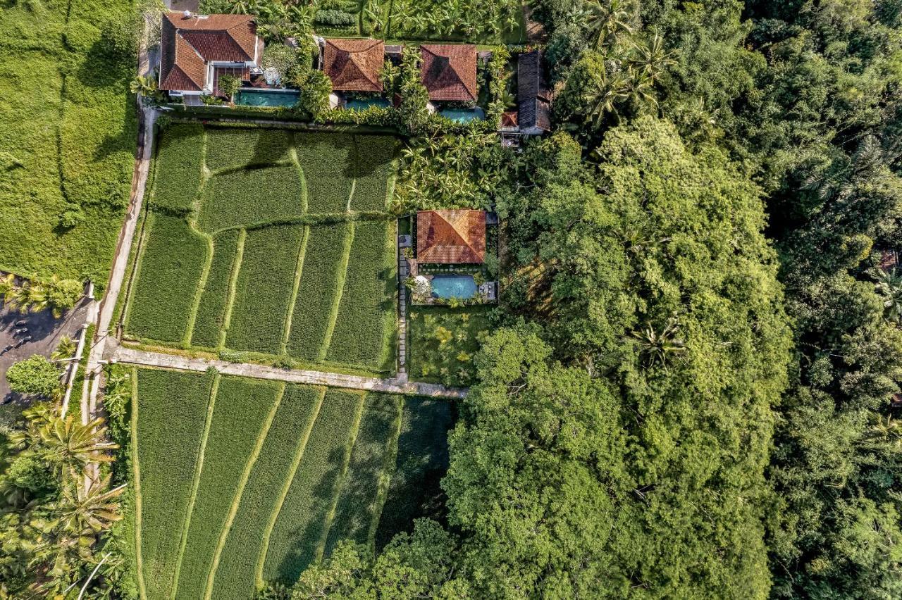 Ratni Ubud Villa Εξωτερικό φωτογραφία
